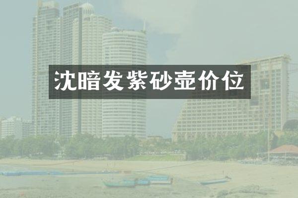 沈暗发紫砂壶价位