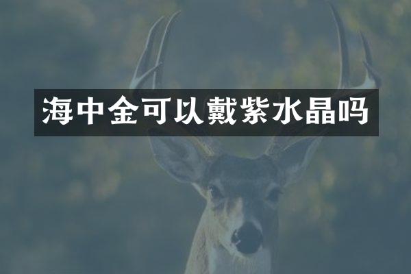 海中金可以戴紫水晶吗