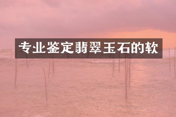 专业鉴定翡翠玉石的软