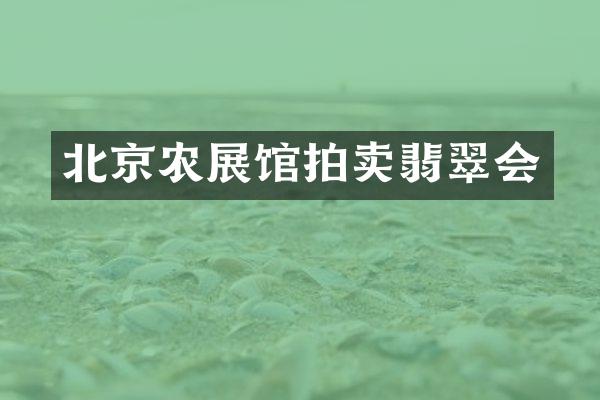 北京农展馆拍卖翡翠会