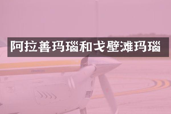 阿拉善玛瑙和戈壁滩玛瑙