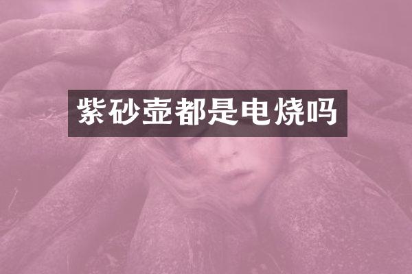 紫砂壶都是电烧吗