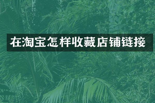 在淘宝怎样收藏店铺链接