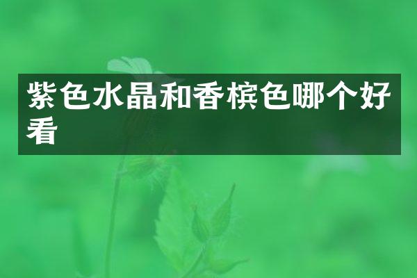 紫色水晶和香槟色哪个好看