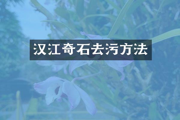 汉江奇石去污方法