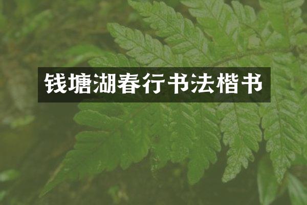 钱塘湖春行书法楷书