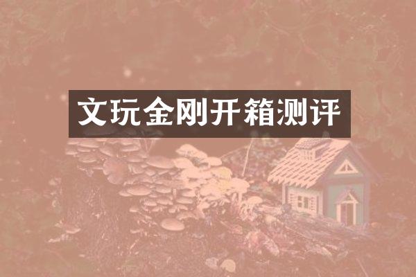文玩金刚开箱测评