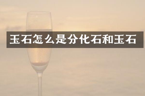 玉石怎么是分化石和玉石