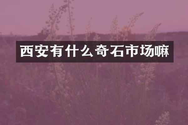 西安有什么奇石市场嘛