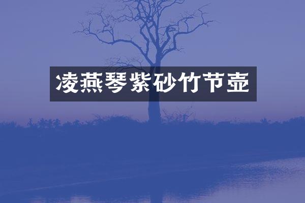 凌燕琴紫砂竹节壶