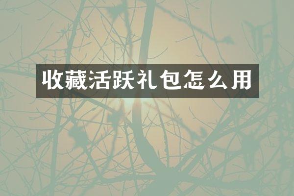 收藏活跃礼包怎么用