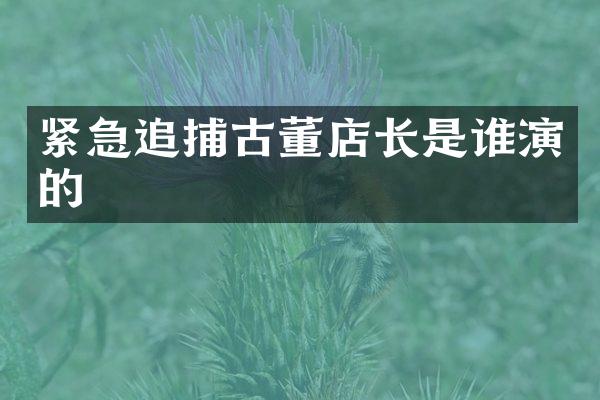 紧急追捕古董店长是谁演的