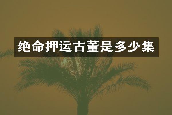 绝命押运古董是多少集