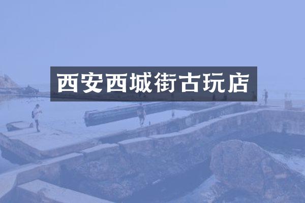 西安西城街古玩店