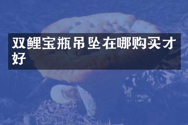 双鲤宝瓶吊坠在哪购买才好