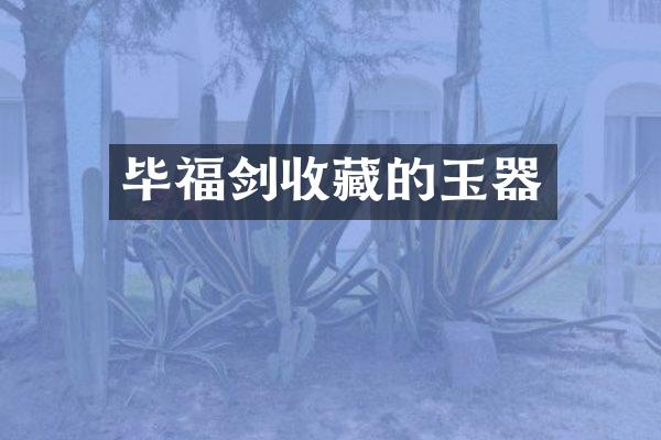 毕福剑收藏的玉器
