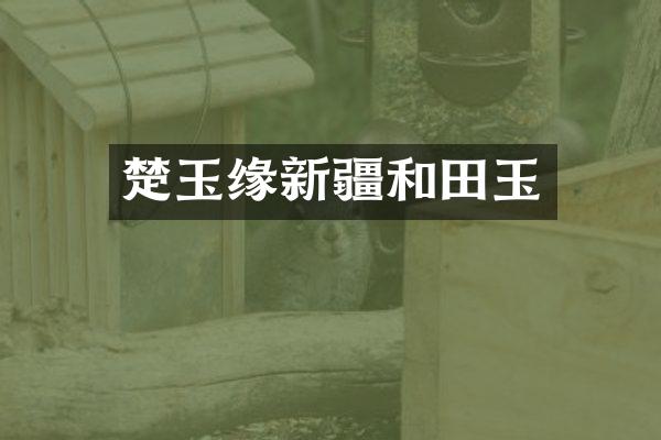 楚玉缘新疆和田玉