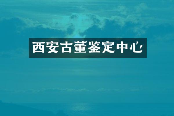 西安古董鉴定中心