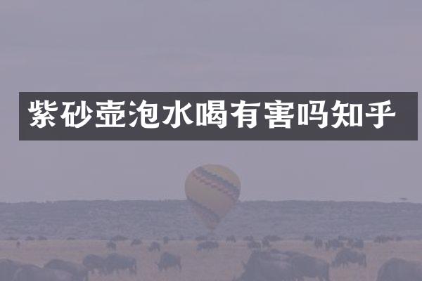 紫砂壶泡水喝有害吗知乎