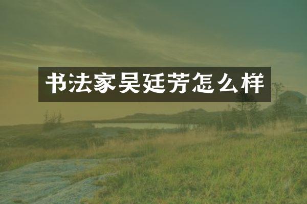 书法家吴廷芳怎么样