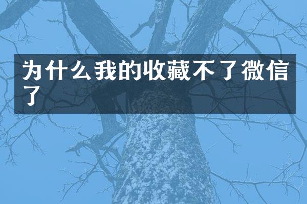 为什么我的收藏不了微信了