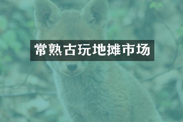 常熟古玩地摊市场