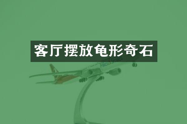 客厅摆放龟形奇石