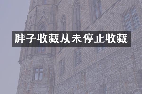 胖子收藏从未停止收藏