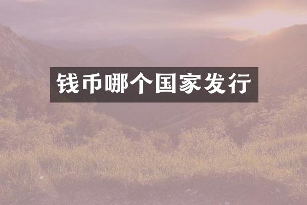 钱币哪个国家发行