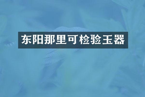 东阳那里可检验玉器