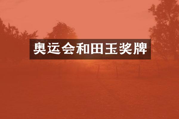 奥运会和田玉奖牌