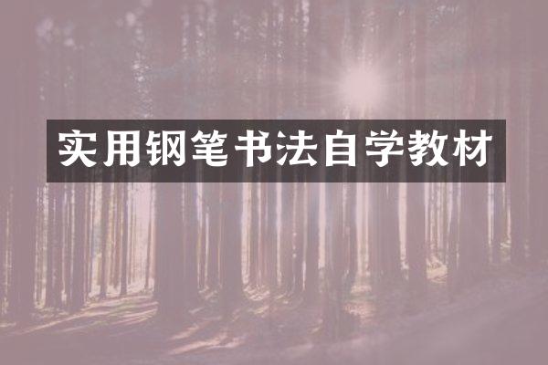 实用钢笔书法自学教材