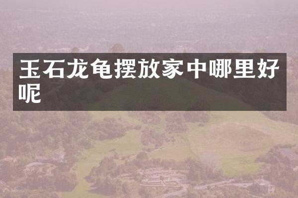 玉石龙龟摆放家中哪里好呢
