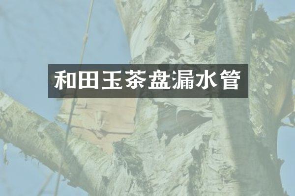 和田玉茶盘漏水管