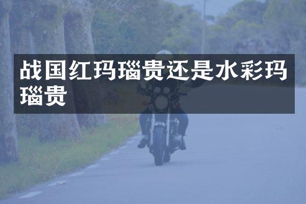 战国红玛瑙贵还是水彩玛瑙贵