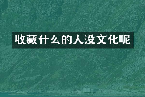 收藏什么的人没文化呢