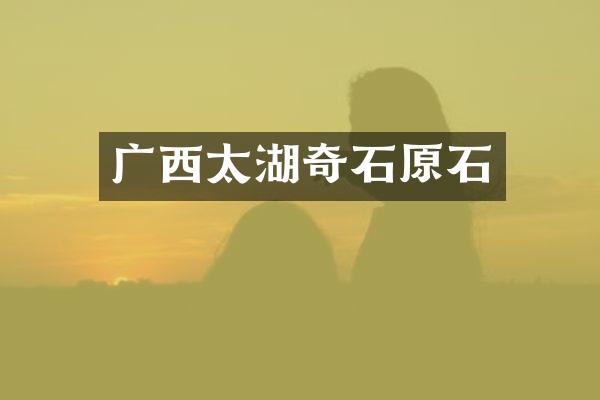 广西太湖奇石原石