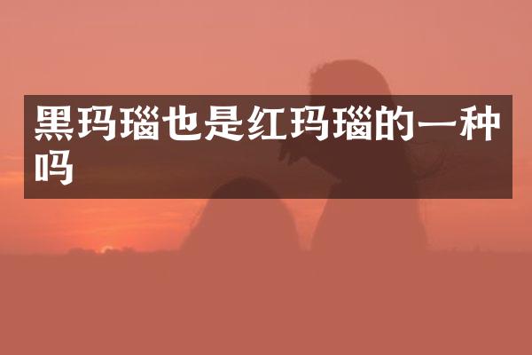 黑玛瑙也是红玛瑙的一种吗
