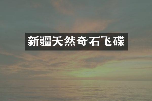 新疆天然奇石飞碟
