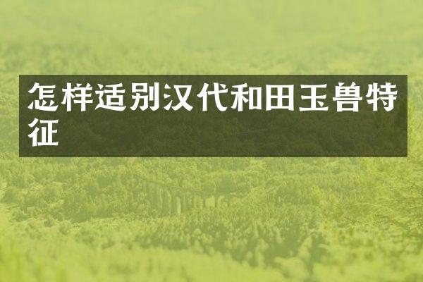 怎样适别汉代和田玉兽特征