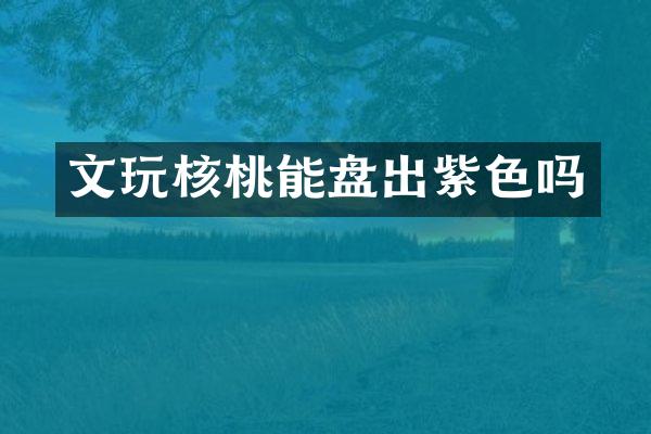文玩核桃能盘出紫色吗