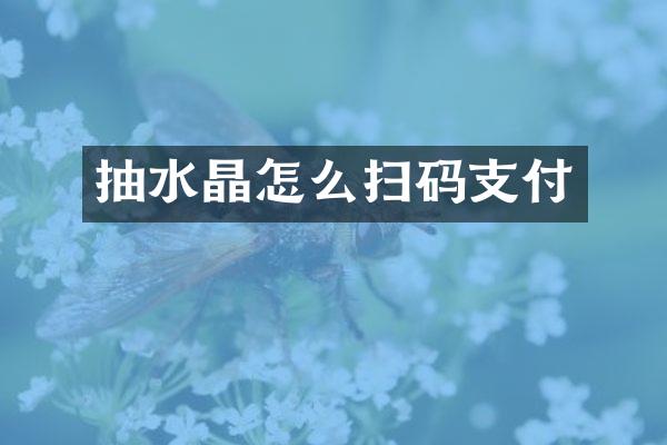 抽水晶怎么扫码支付