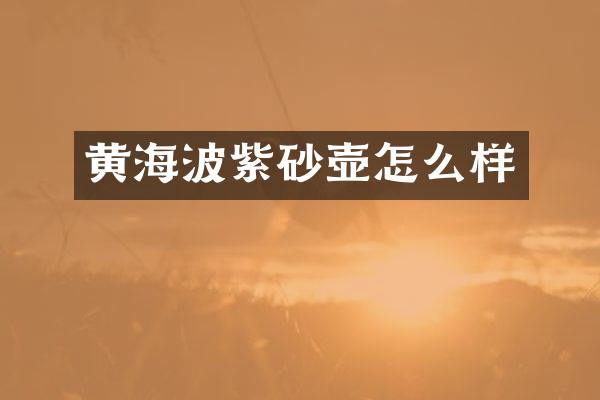 黄海波紫砂壶怎么样