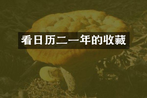 看日历二一年的收藏