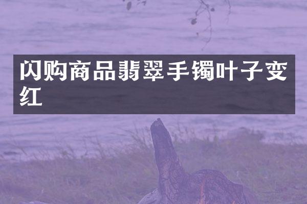 闪购商品翡翠手镯叶子变红