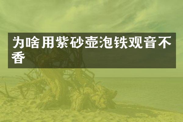 为啥用紫砂壶泡铁观音不香