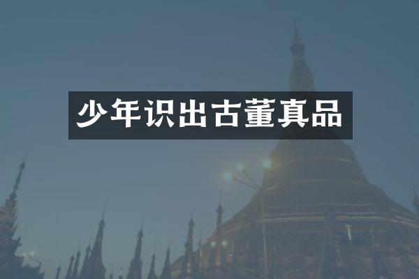 少年识出古董真品