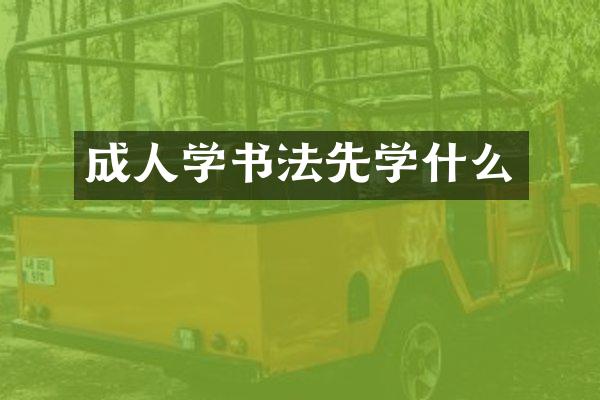 成人学书法先学什么