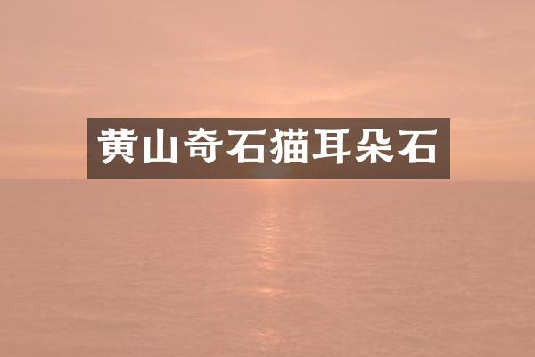 黄山奇石猫耳朵石