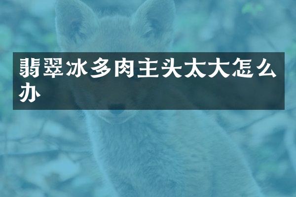 翡翠冰多肉主头太大怎么办
